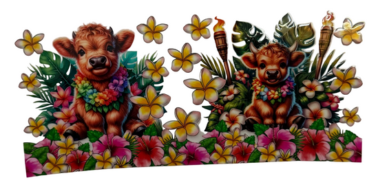 cows#1